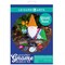 Leisure Arts Wood - Garden Kit Gnome, Basics Boy, Gnome Craft Kit, Wood Christmas Cutouts, Wood Ornaments To Paint, Gnome Crafts, Wood Gnomes to Paint, Unfinished Wood Gnome